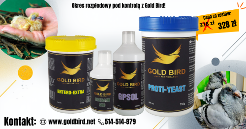 Okres rozpłodowy pod kontrolą z Gold Bird.png