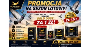 Zestaw Lotowy