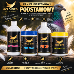 Pakiet pierzeniowy - podstawowy